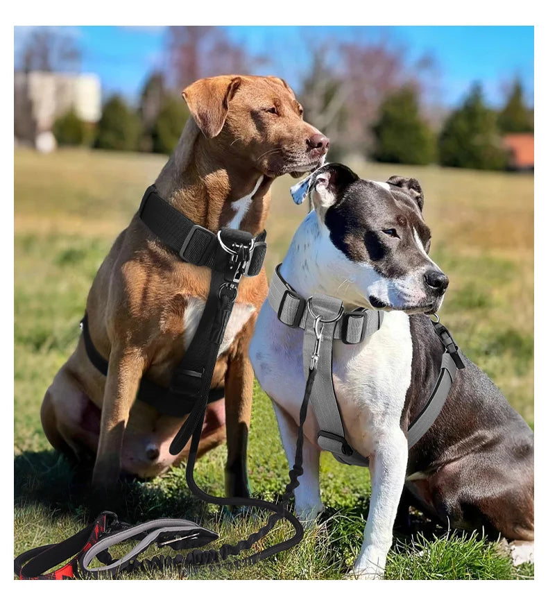 Adjustable anti-escape dog harness vest with dual D-rings for medium and large dogs