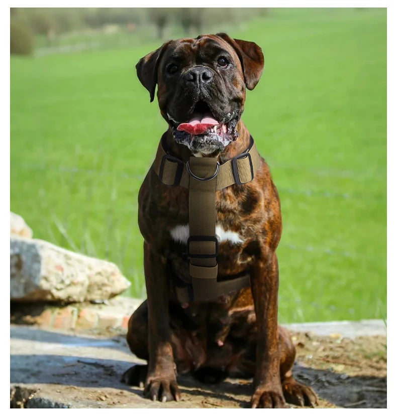 Adjustable anti-escape dog harness vest with dual D-rings for medium and large dogs