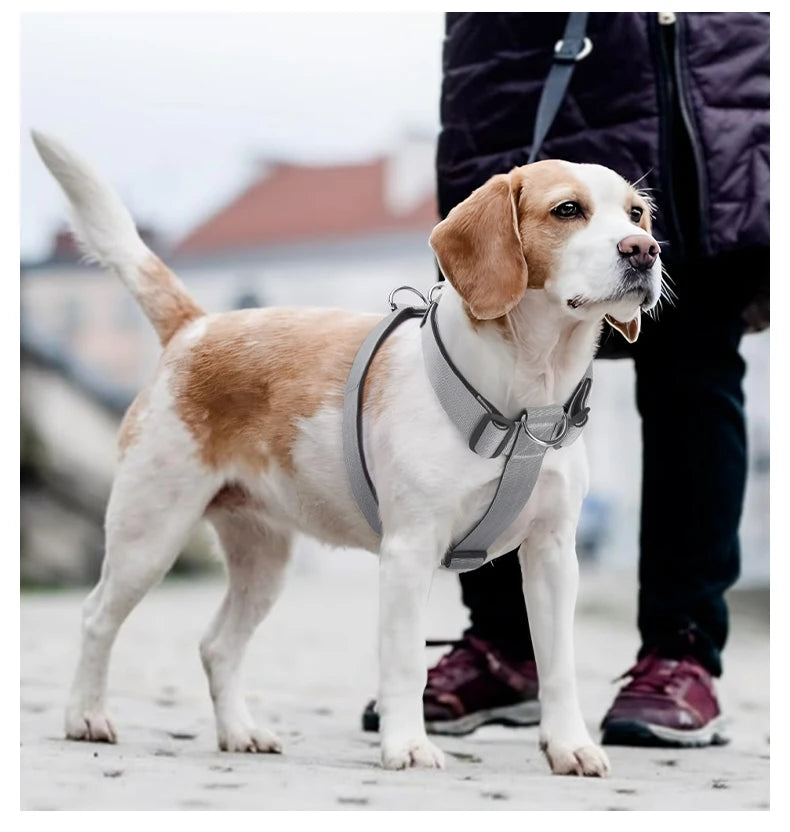 Adjustable anti-escape dog harness vest with dual D-rings for medium and large dogs