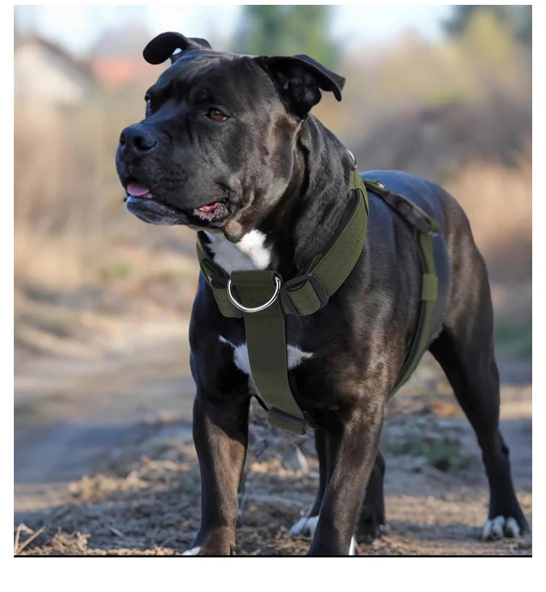 Adjustable anti-escape dog harness vest with dual D-rings for medium and large dogs