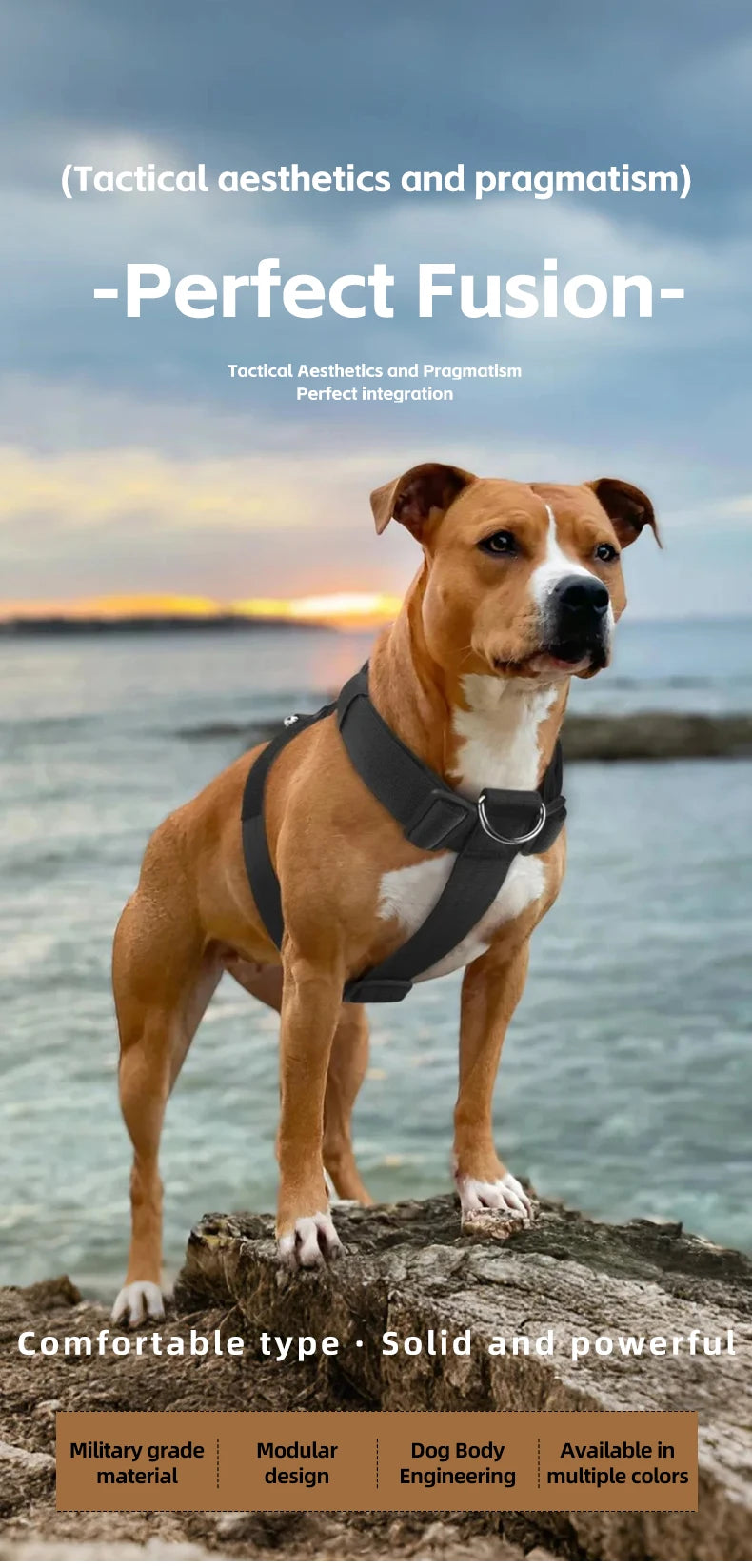 Adjustable anti-escape dog harness vest with dual D-rings for medium and large dogs