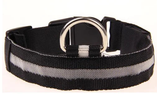 Close-up of adjustable LED collar buckle