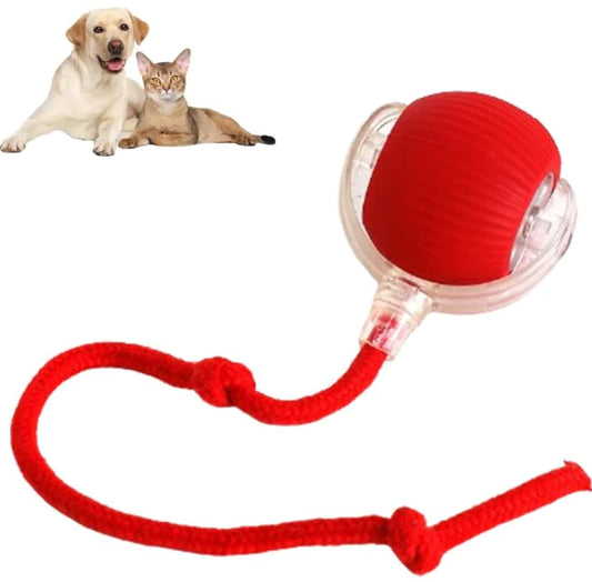 Durable plastic and metal rolling toy for cats and dogs
