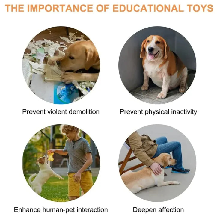 Interactive pet communication button in orange blue gray yellow