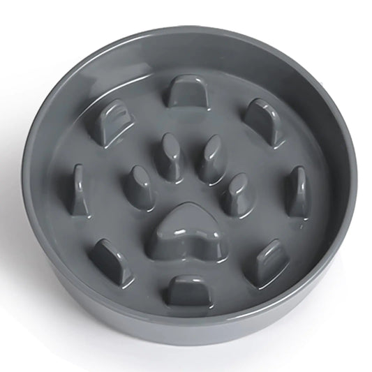 Ceramic slow feeder dog bowl promoting healthy eating habits