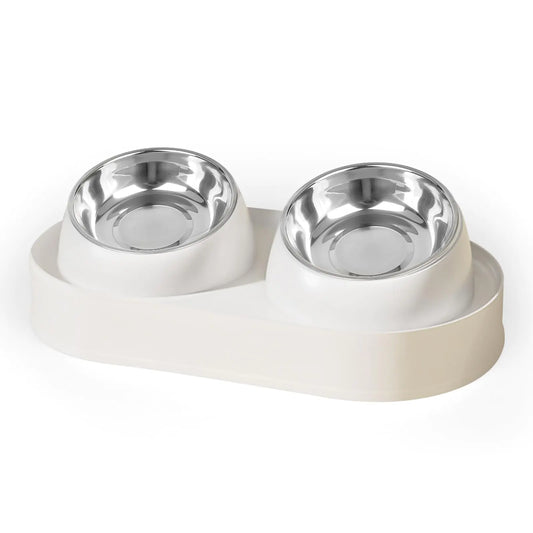 Tilted stainless steel cat bowls elevated feeding set