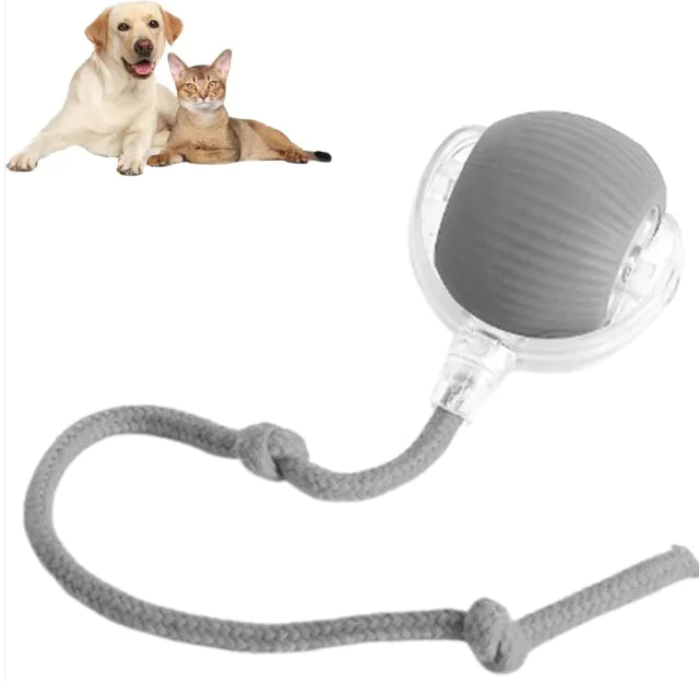 Interactive cat toy ball with rope attachment