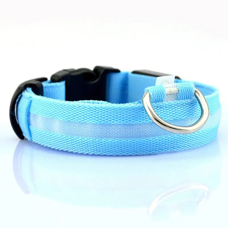 LED dog collar packaging with charging cable