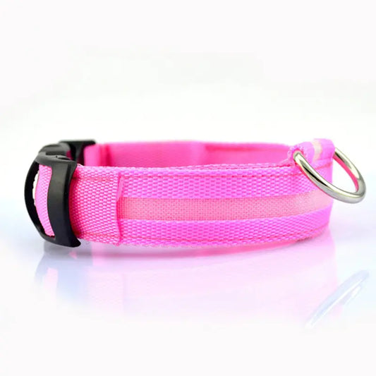 Small puppy with pink LED safety collar