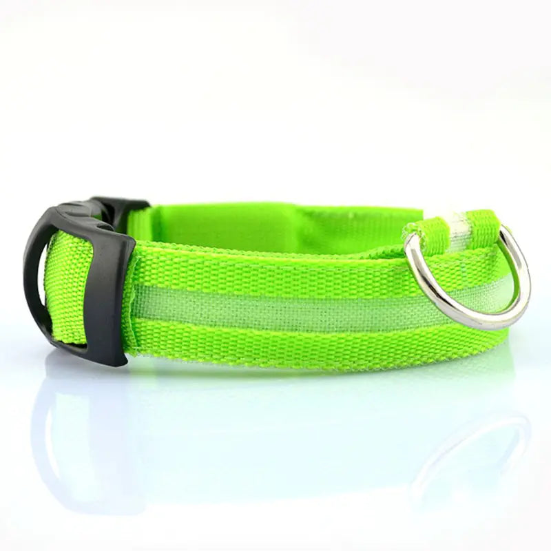 Multiple color options for LED dog collars
