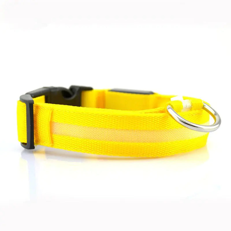 Multiple color options for LED dog collars
