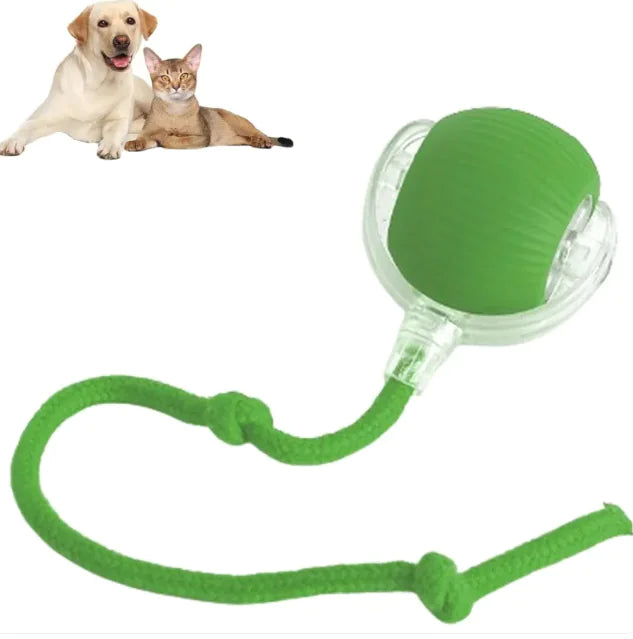 Battery-powered automatic rolling pet ball