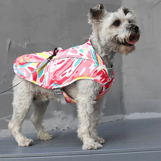 Cute dog in a red jacket