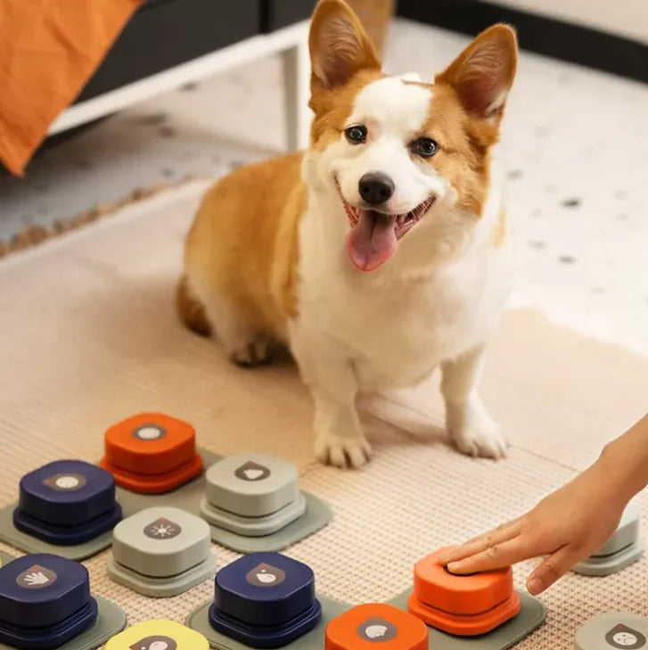 Pet communication button with stickers included